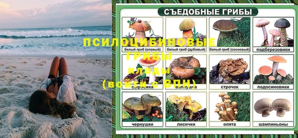 амф Переславль-Залесский