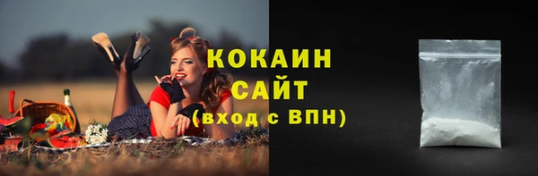 амф Переславль-Залесский