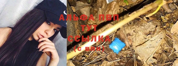 амф Переславль-Залесский